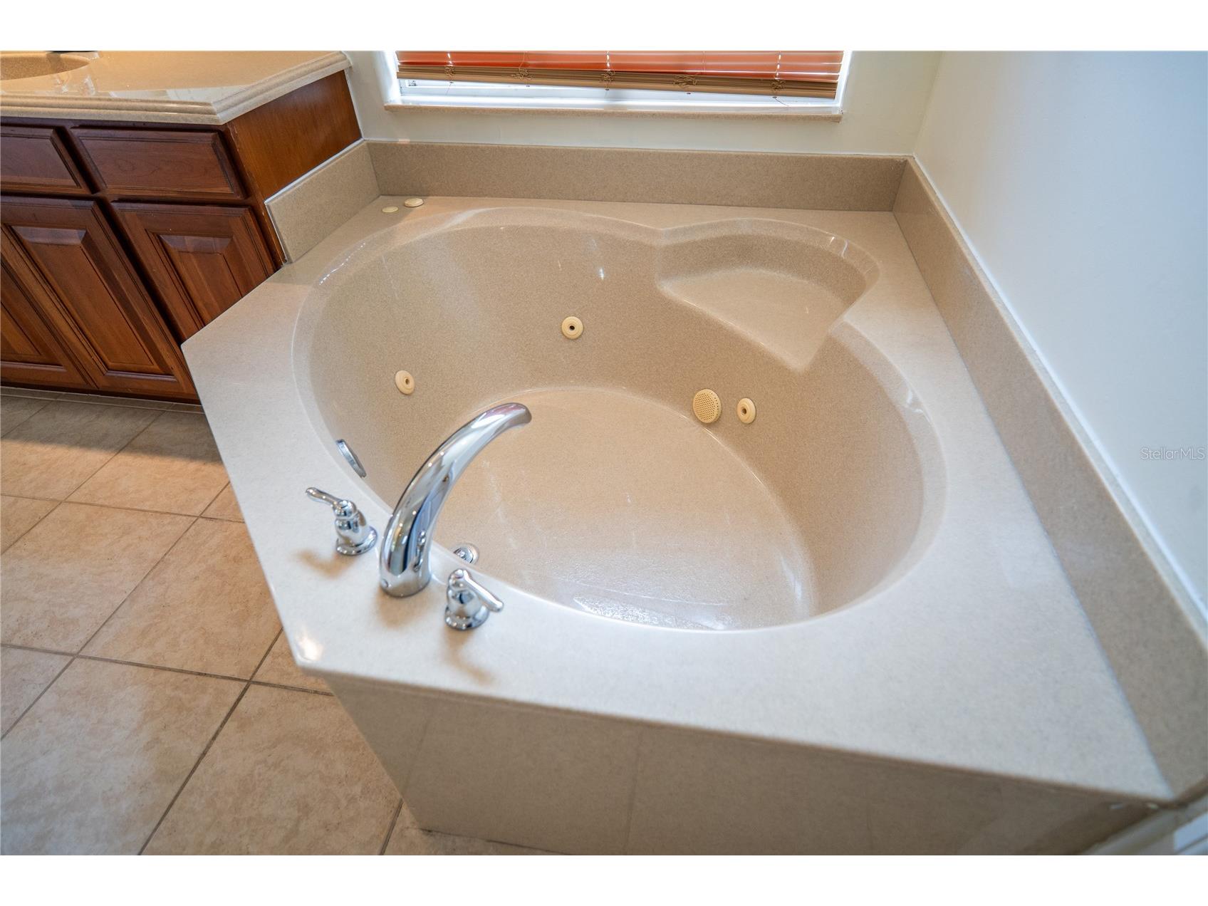 10009 Valley Rose Court Orlando FL 32825 O6394082 image44