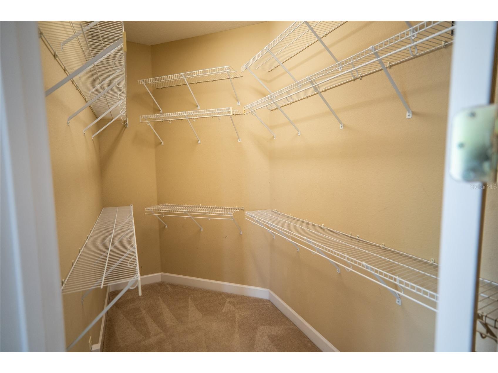 10009 Valley Rose Court Orlando FL 32825 O6394082 image48