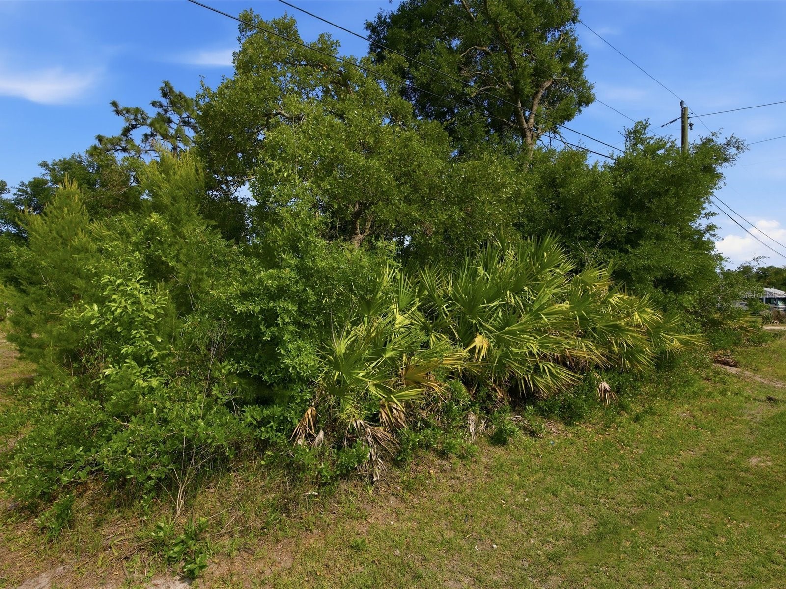 1001 10th Avenue Deland FL 32724 O6405614 image5