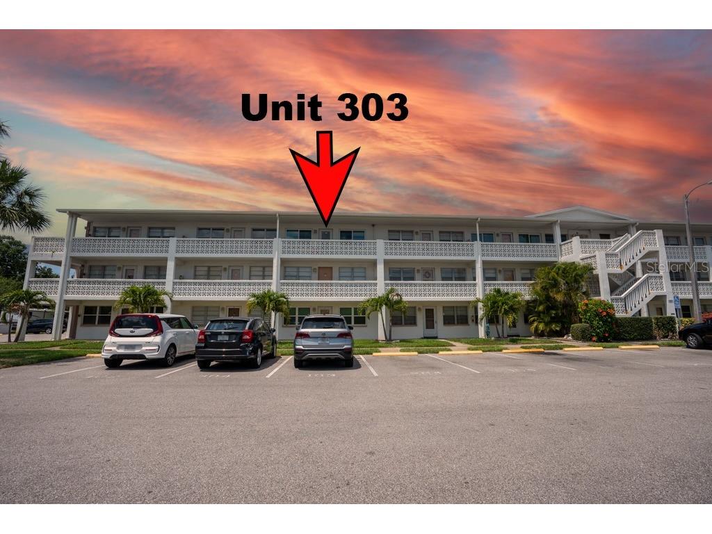 1001 77th Avenue N #303 Saint Petersburg FL 33702 U8173309 image1