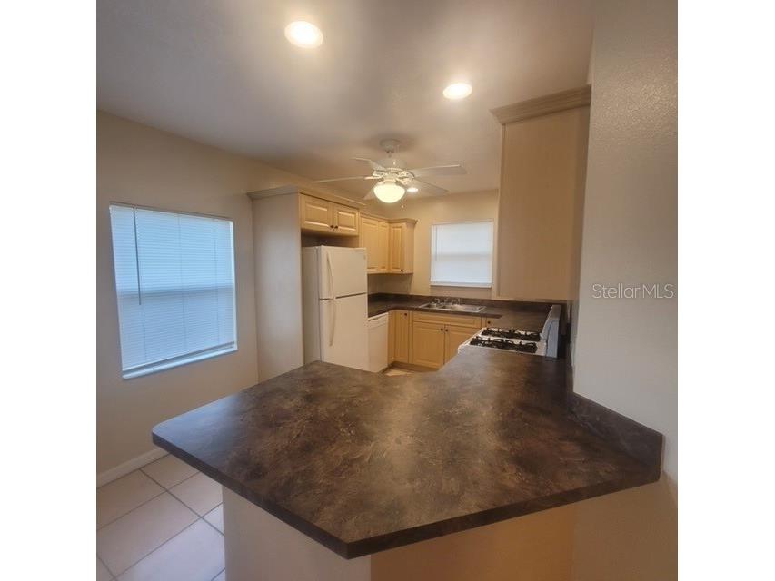 1001 Aultman Road Kissimmee FL 34744 S5137513 image3