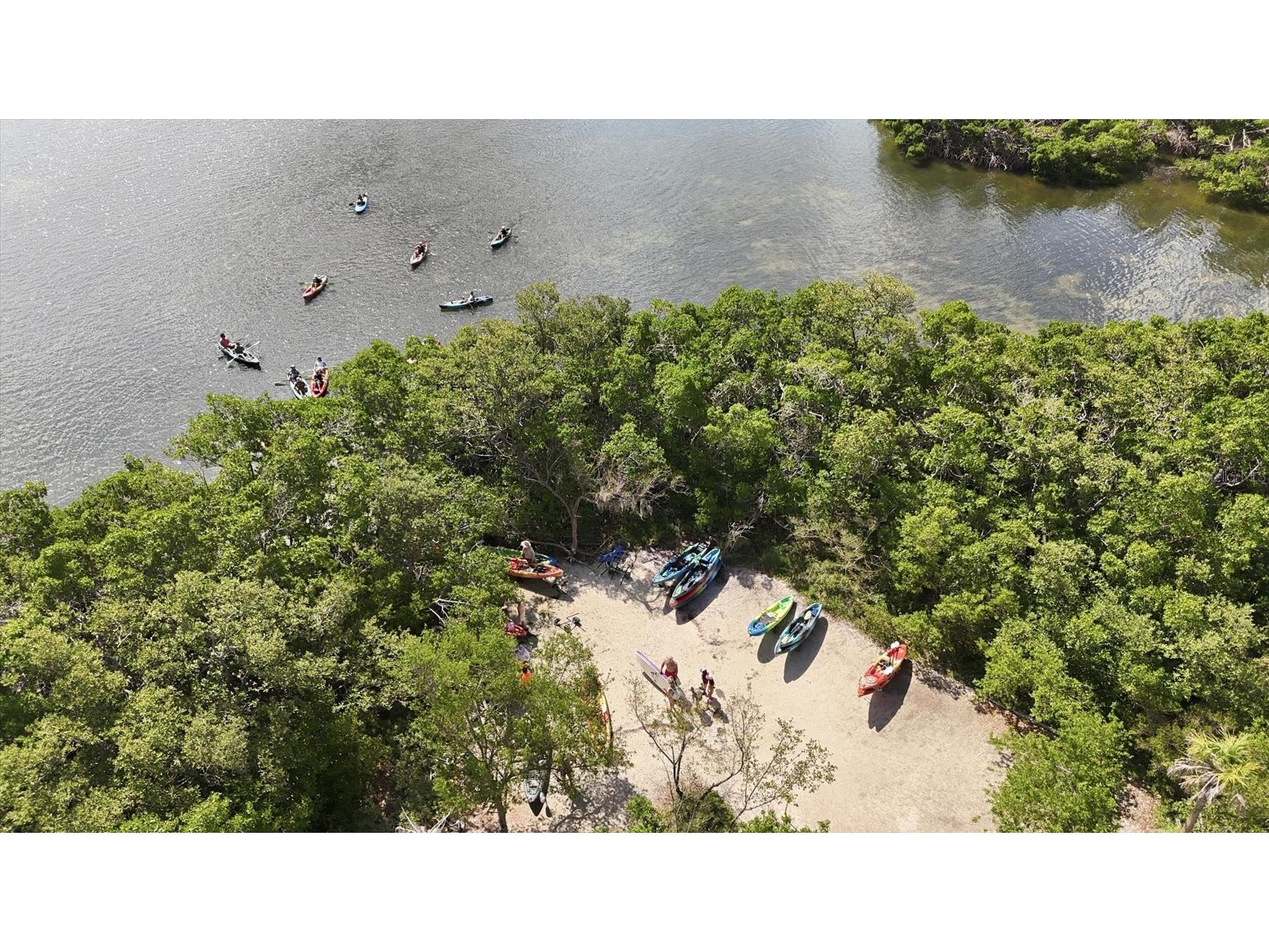 1001 Benjamin Franklin Drive #206 Sarasota FL 34236 - GULF OF MEXICO A4699522 image49