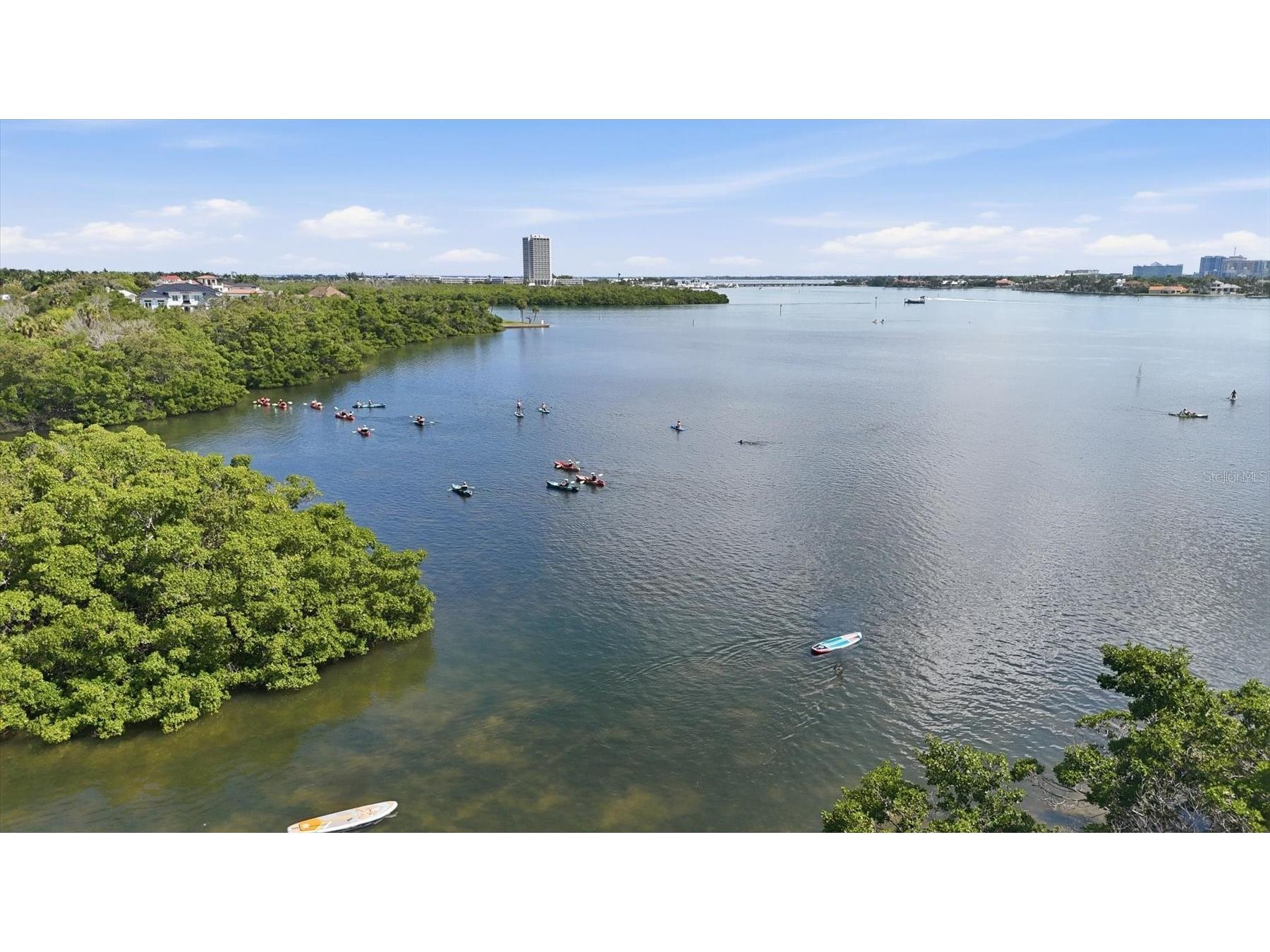 1001 Benjamin Franklin Drive #206 Sarasota FL 34236 - GULF OF MEXICO A4699522 image52