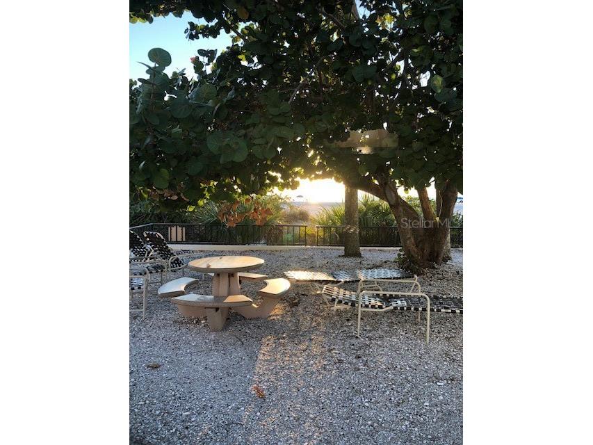 1001 Benjamin Franklin Drive #503 Sarasota FL 34236 A4515986 image16