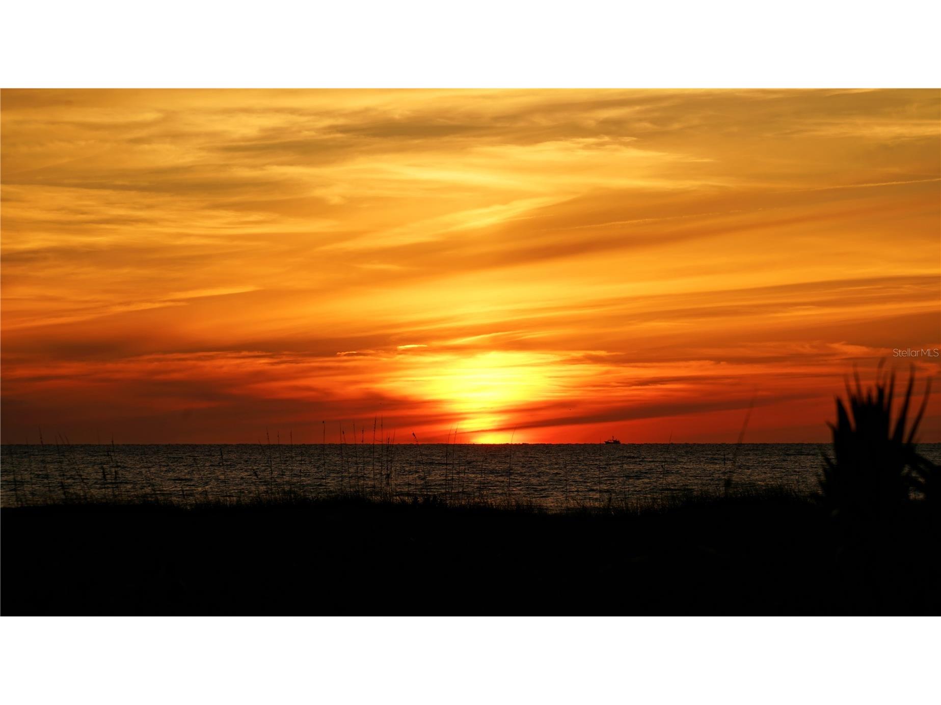 1001 Benjamin Franklin Drive #503 Sarasota FL 34236 - GULF OF MEXICO A4680281 image39