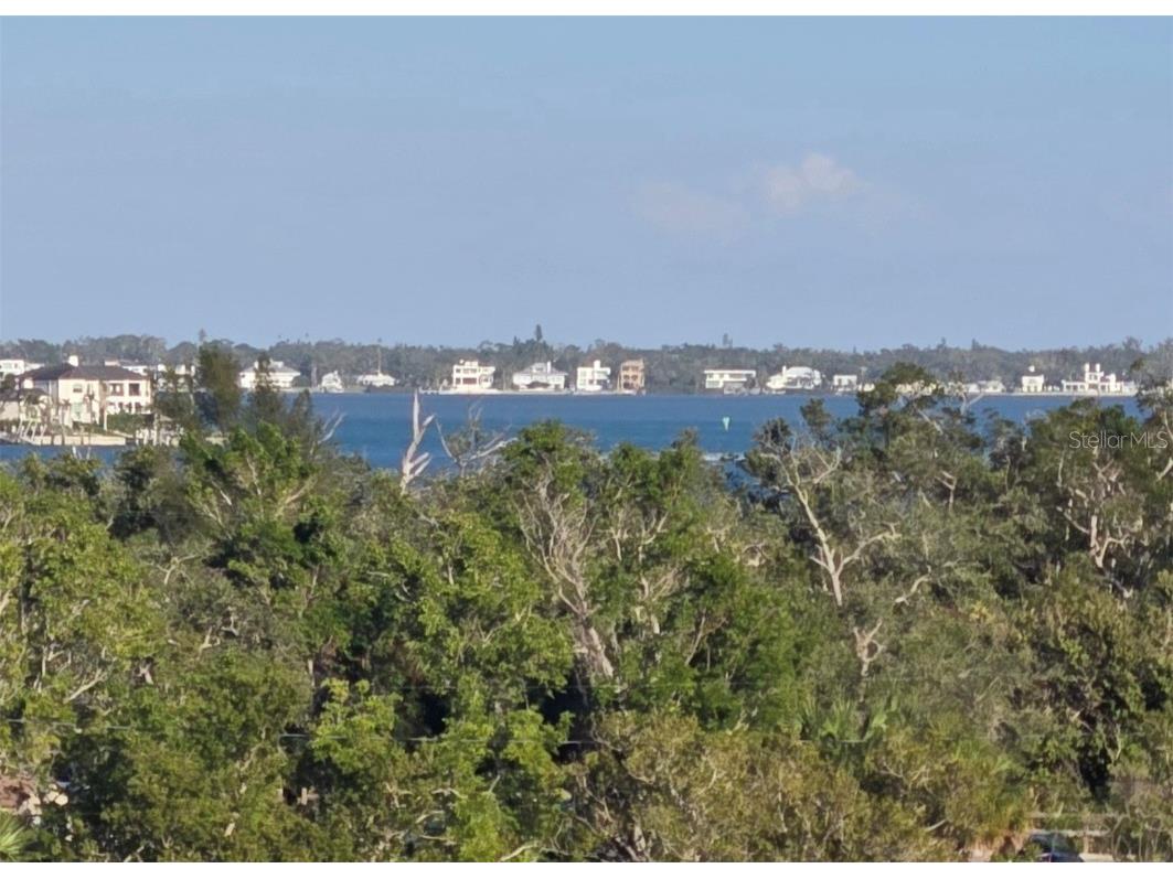 1001 Benjamin Franklin Drive #506 Sarasota FL 34236 A4515964 image39