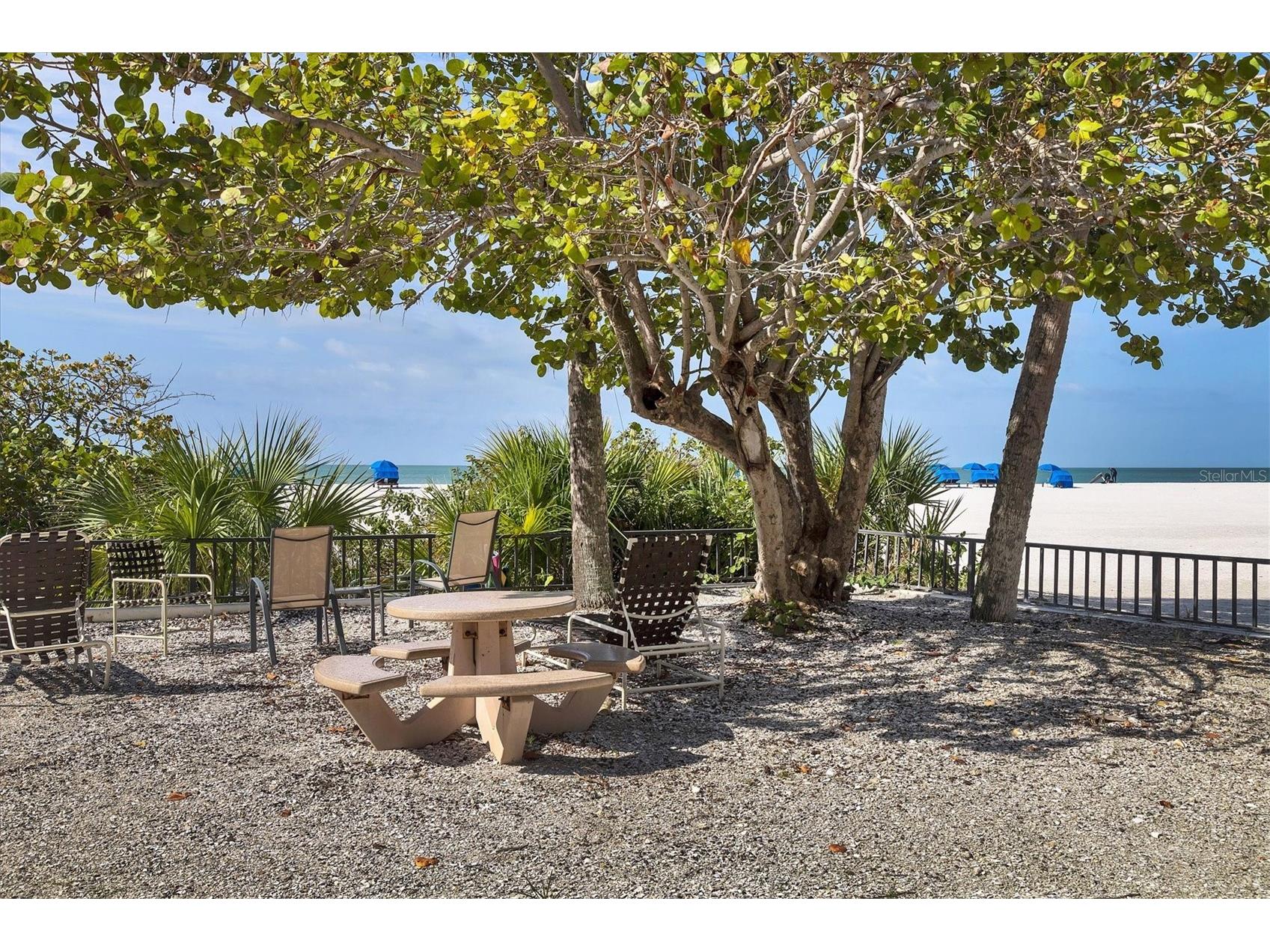 1001 Benjamin Franklin Drive #604 Sarasota FL 34236 A4686677 image50
