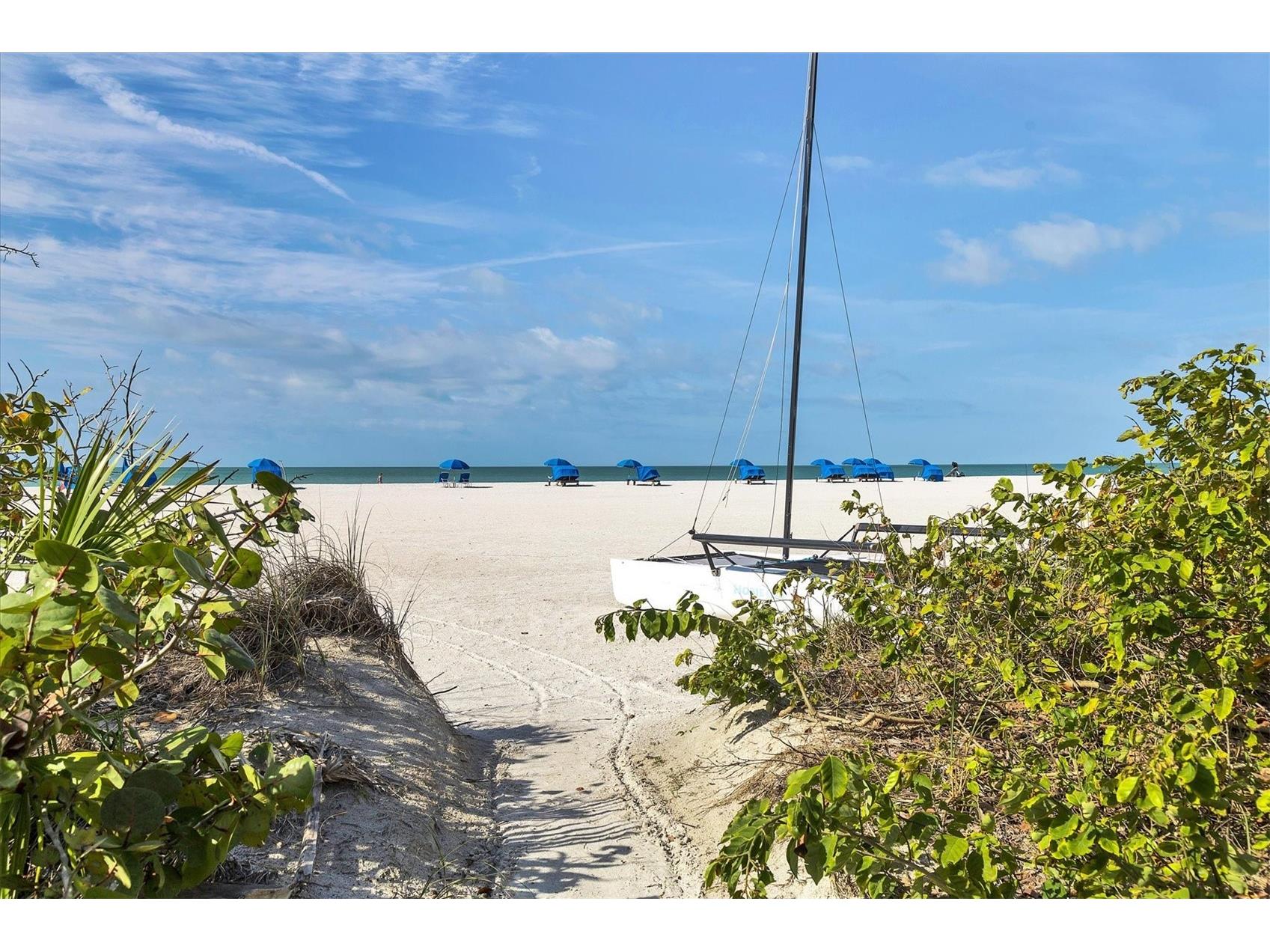 1001 Benjamin Franklin Drive #604 Sarasota FL 34236 A4686677 image53