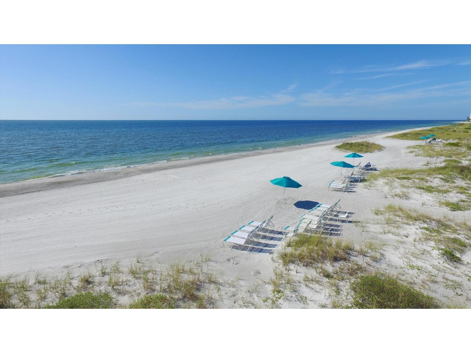 1001 Benjamin Franklin Drive #604 Sarasota FL 34236 A4686677 image55