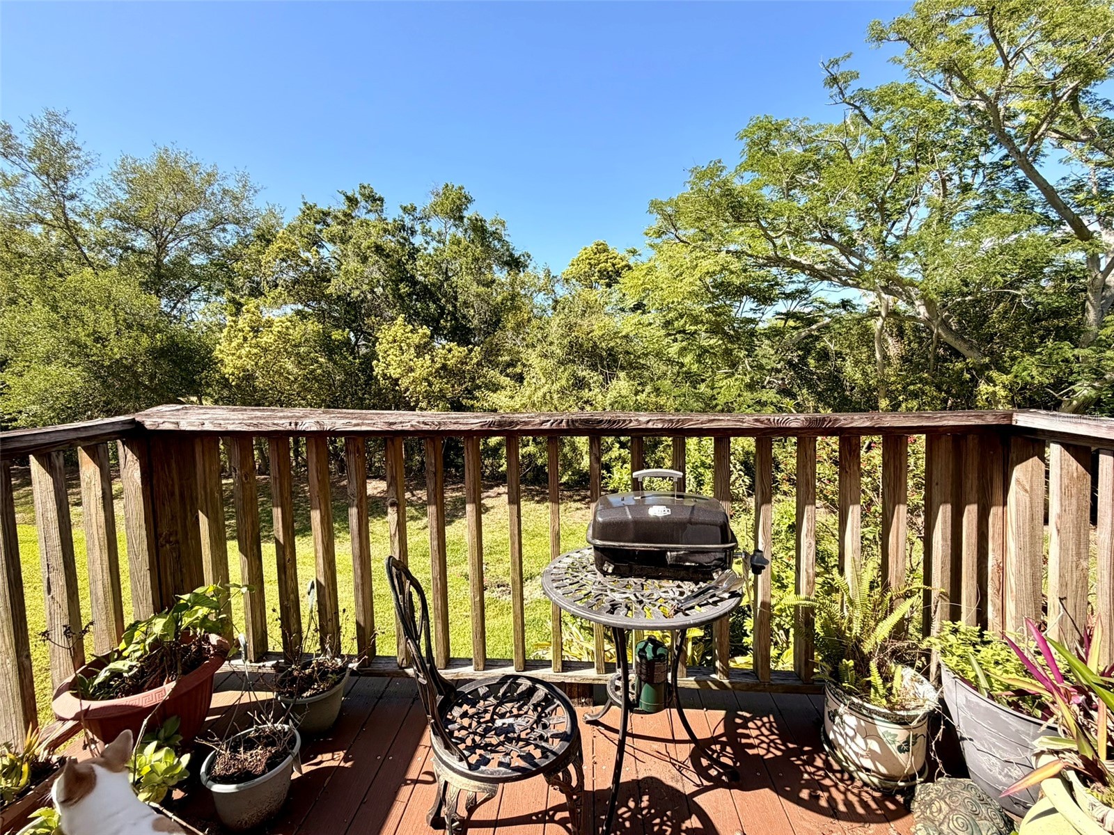 1001 Brigadoon Drive Clearwater FL 33759 TB8494682 image23