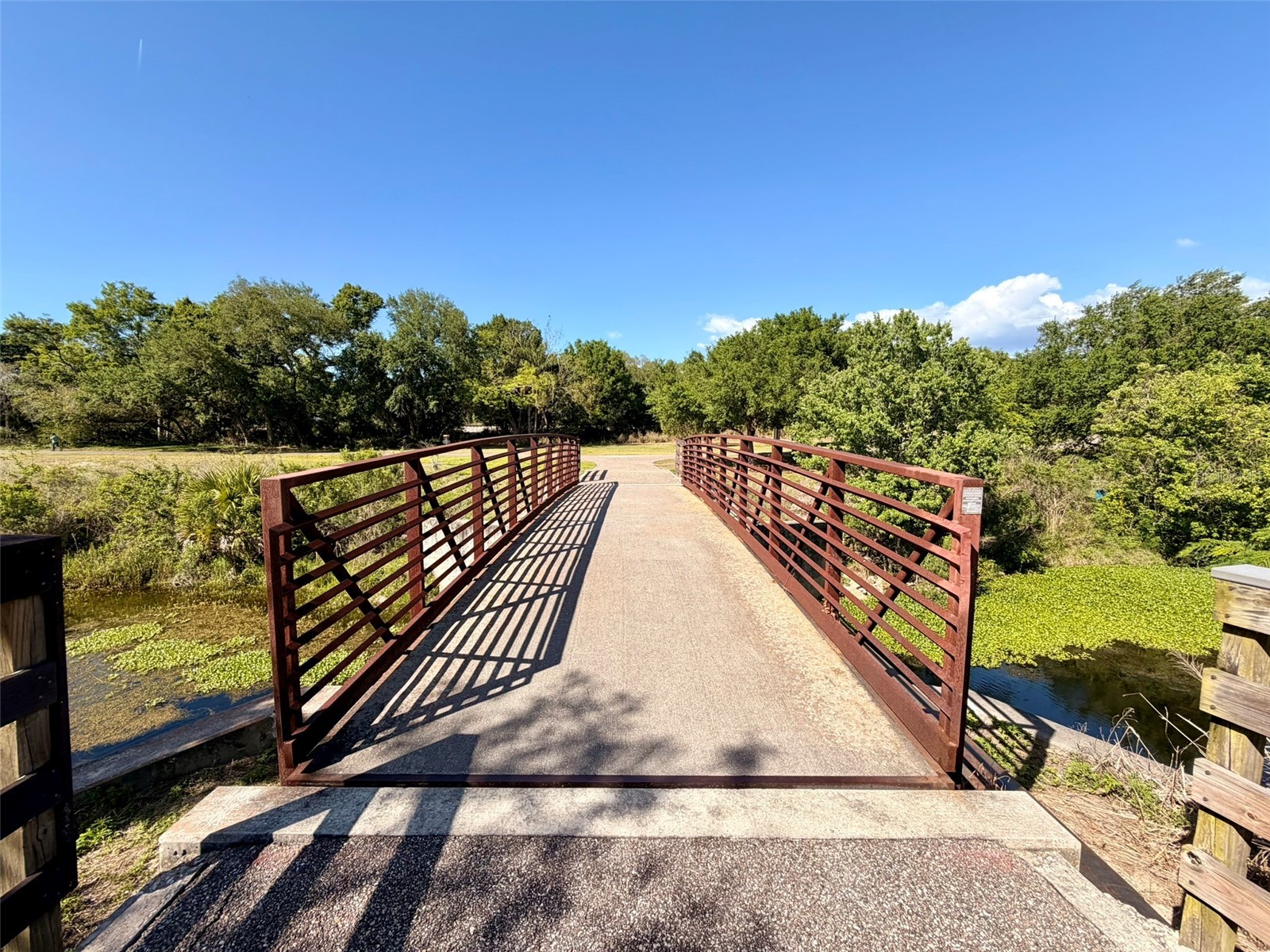 1001 Brigadoon Drive Clearwater FL 33759 TB8494682 image29