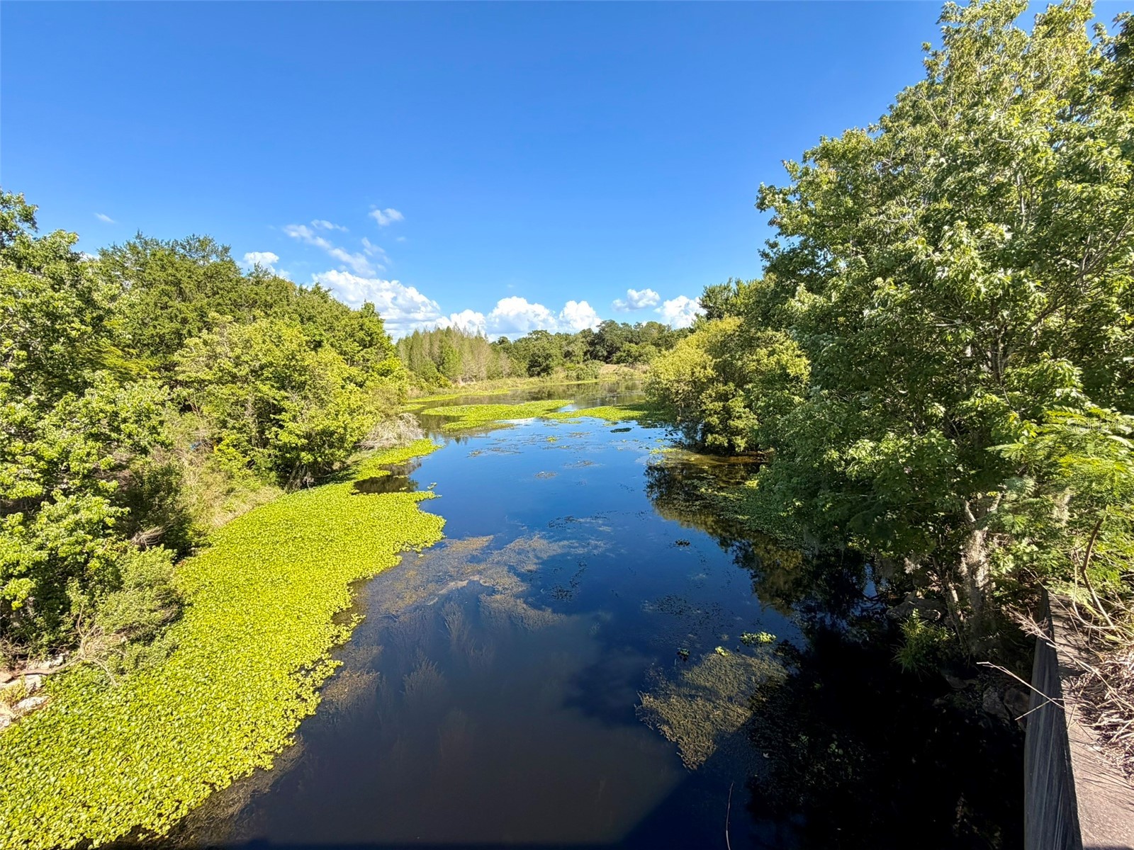 1001 Brigadoon Drive Clearwater FL 33759 TB8494682 image31