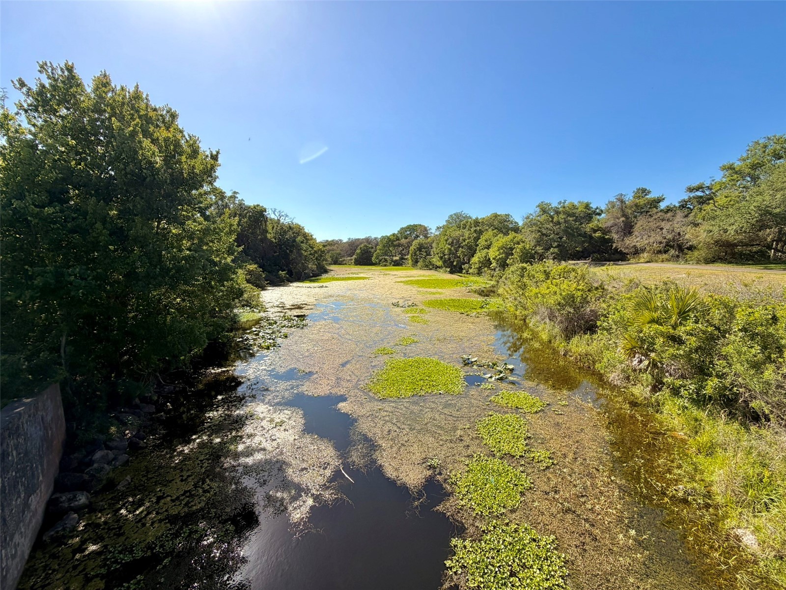 1001 Brigadoon Drive Clearwater FL 33759 TB8494682 image32