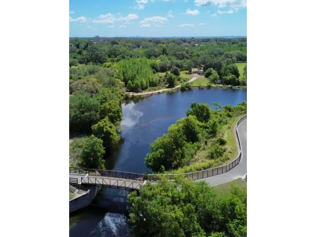 1001 Brigadoon Drive Clearwater FL 33759 TB8494682 image37