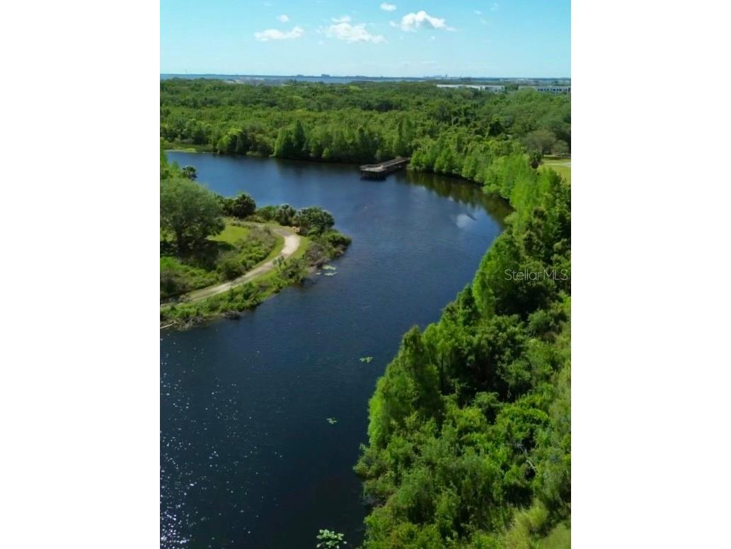 1001 Brigadoon Drive Clearwater FL 33759 TB8494682 image38