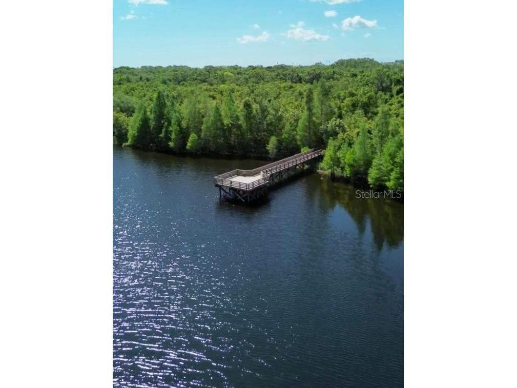 1001 Brigadoon Drive Clearwater FL 33759 TB8494682 image39