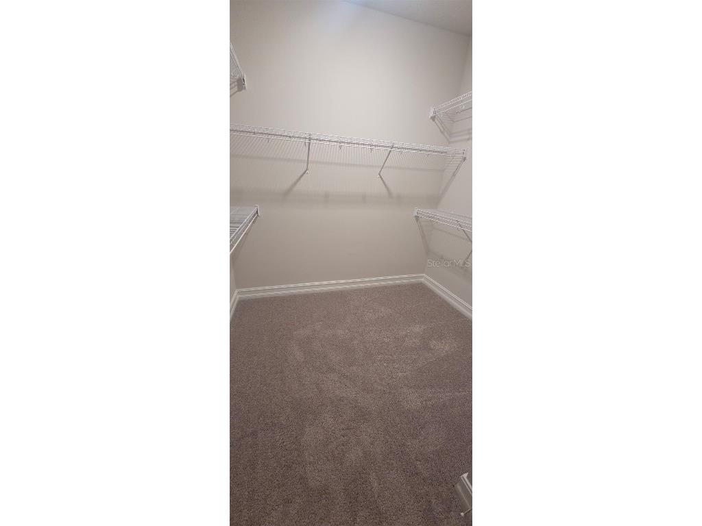 1001 Caroline Street #1-01 Tavares FL 32778 O6360368 image13