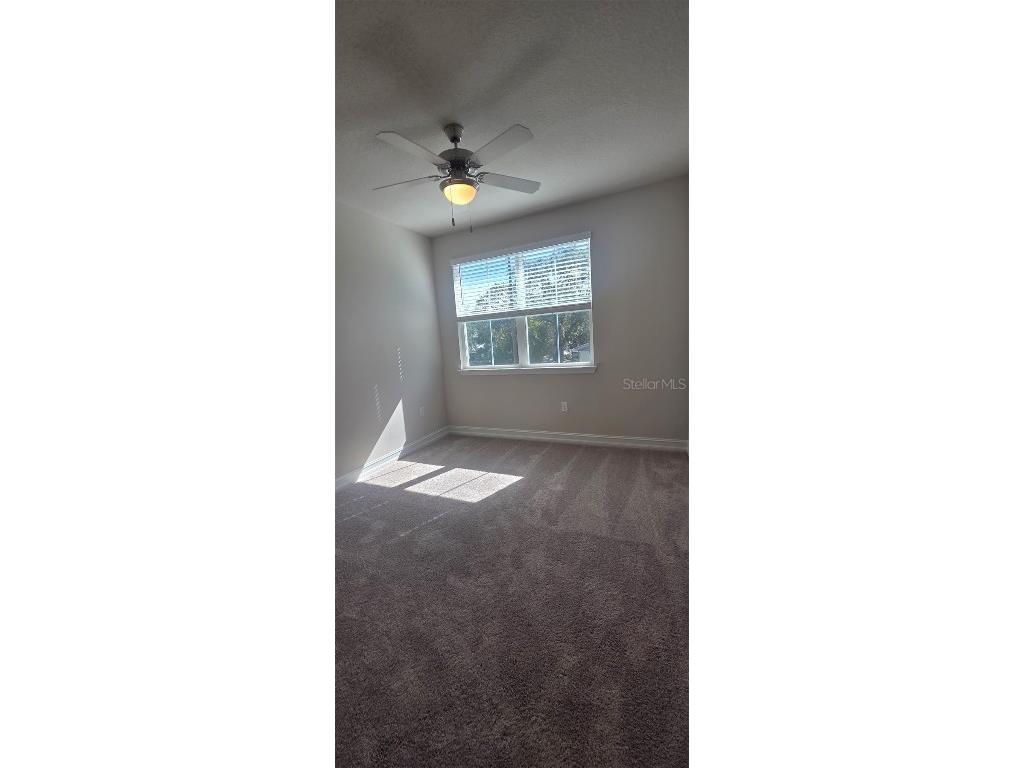 1001 Caroline Street #1-01 Tavares FL 32778 O6360368 image15