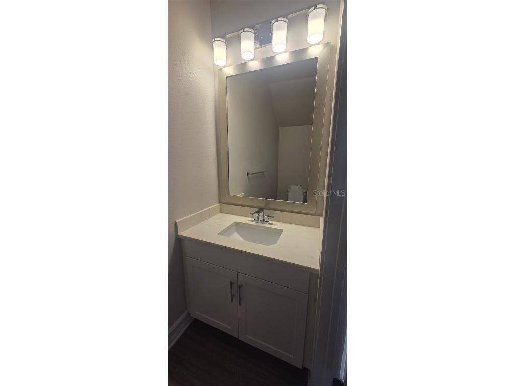 1001 Caroline Street #1-01 Tavares FL 32778 O6360368 image20