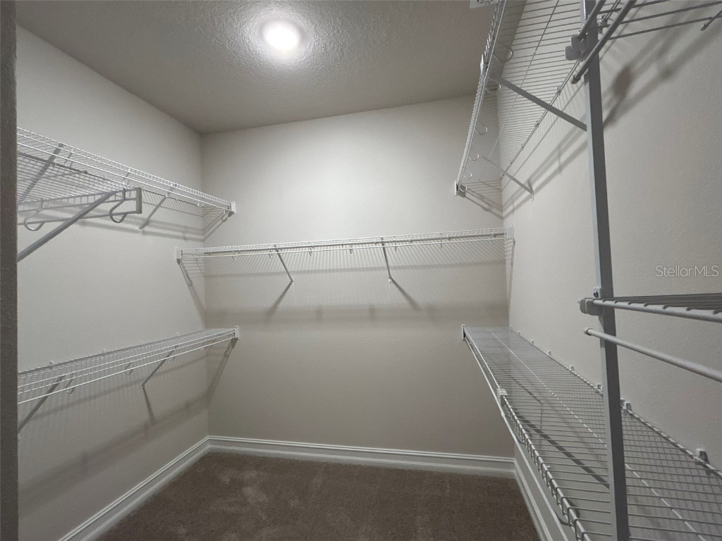 1001 Caroline Street #1-02 Tavares FL 32778 O6360426 image25