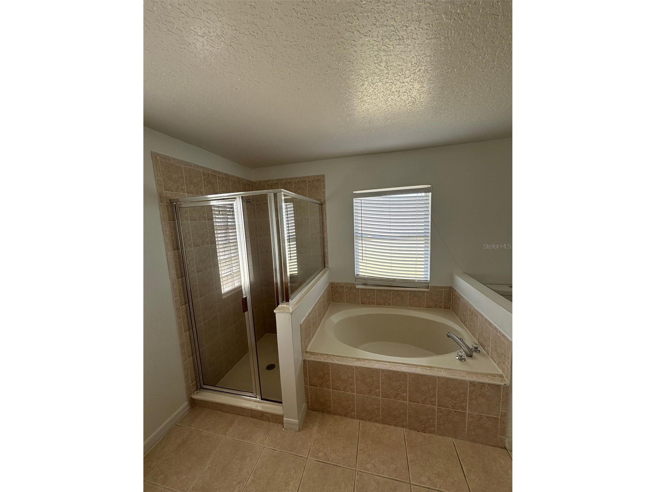 1001 Eiffel Lane Kissimmee FL 34759 S5148997 image25