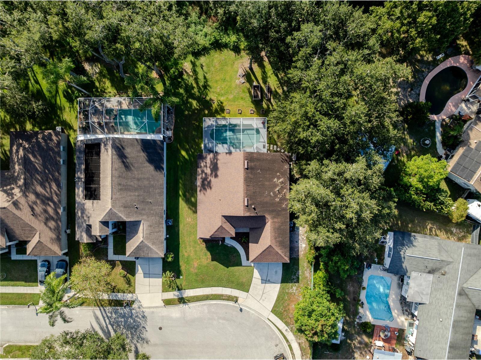 1001 English Bluffs Court Brandon FL 33511 TB8436537 image46