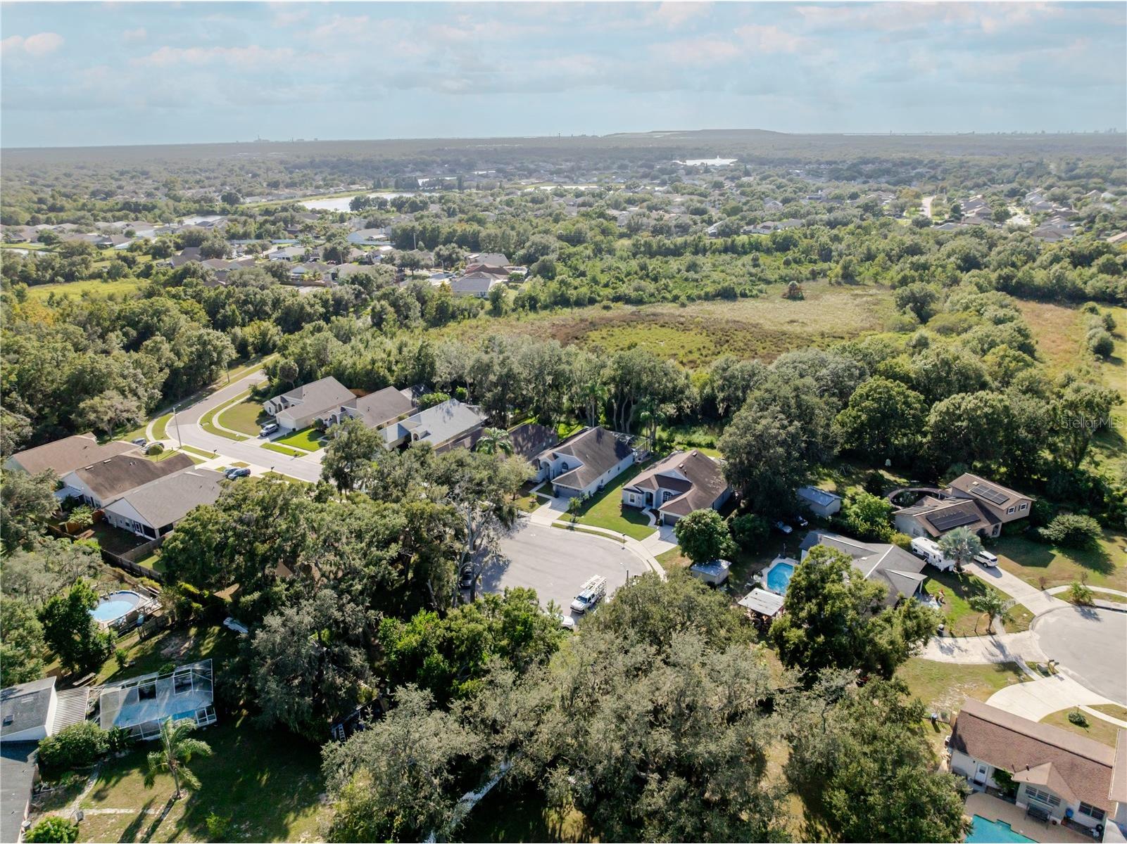 1001 English Bluffs Court Brandon FL 33511 TB8436537 image47