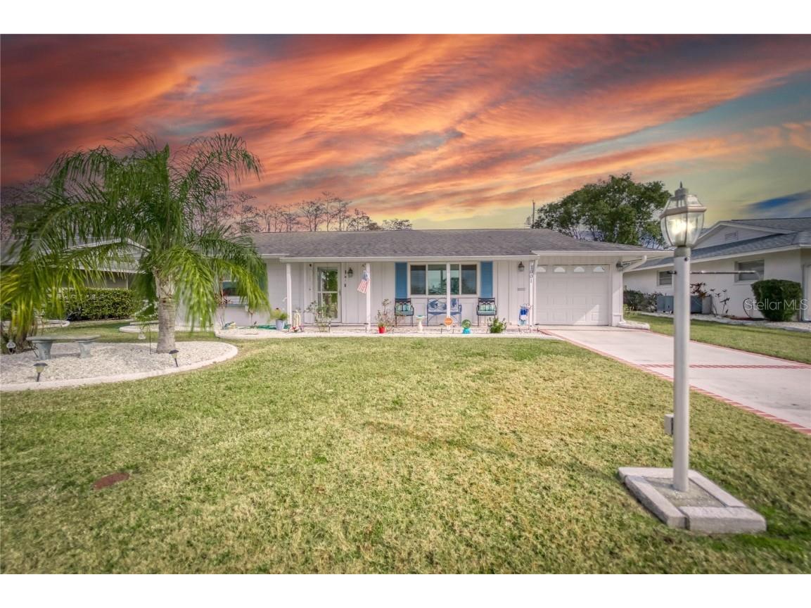 1001 Hacienda Drive Sun City Center FL 33573 T3444099 image1