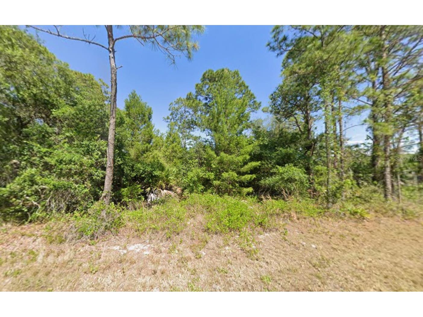 1001 Hummingbird Street Lake Placid FL 33852 OK225784 image1