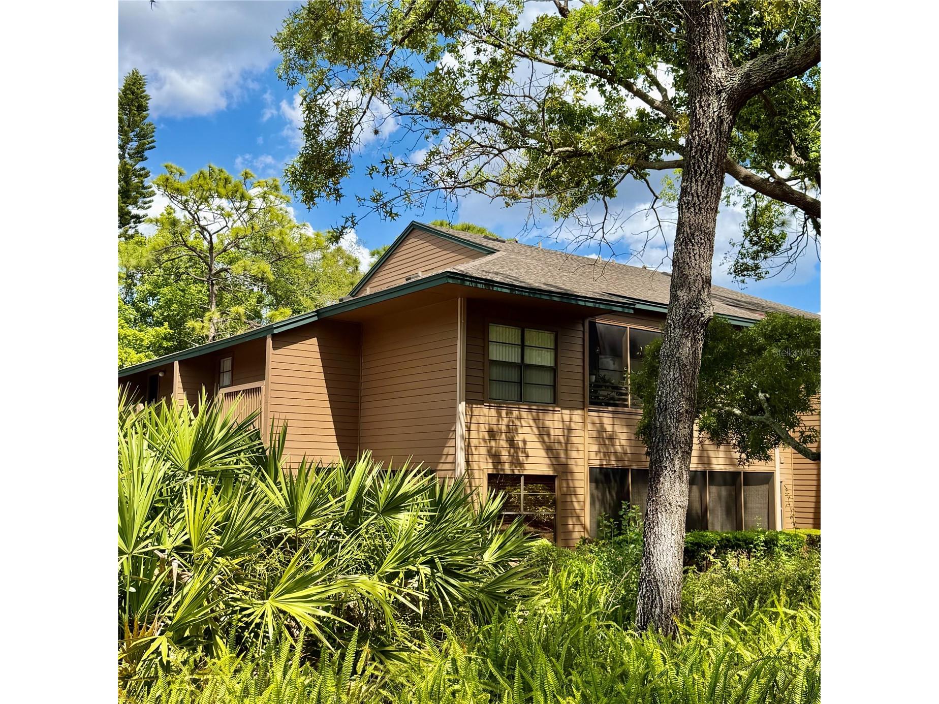 1001 Lennox Road W Palm Harbor FL 34683 TB8493486 image1