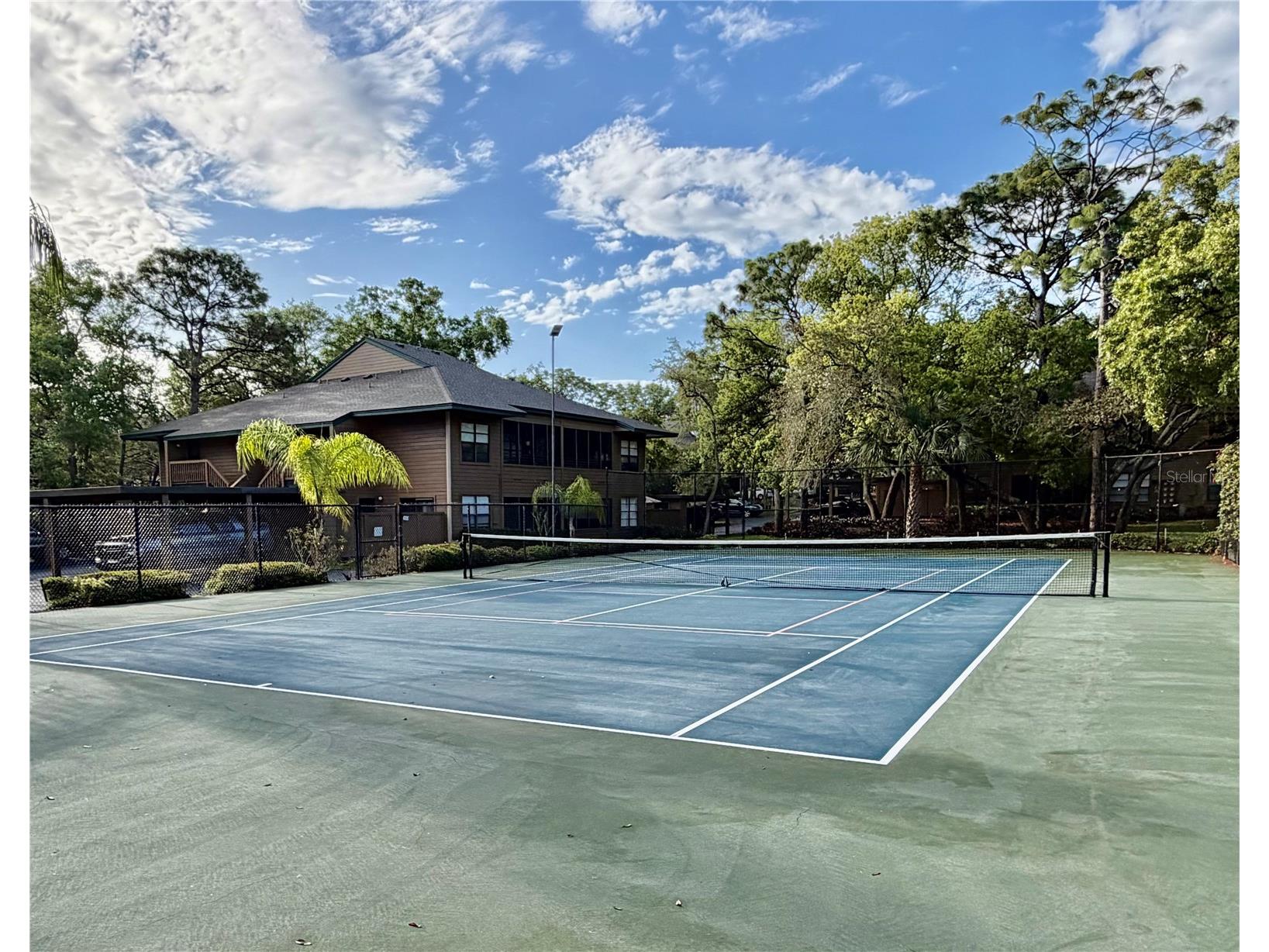 1001 Lennox Road W Palm Harbor FL 34683 TB8493486 image22