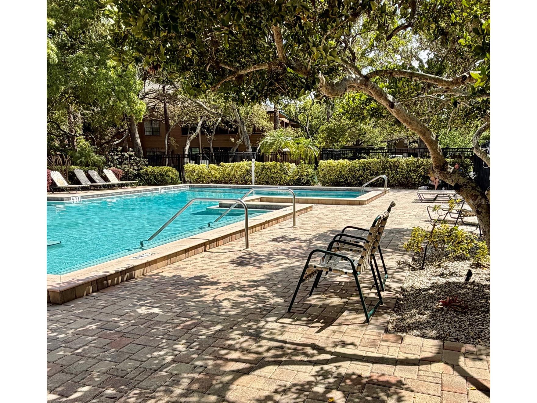 1001 Lennox Road W Palm Harbor FL 34683 TB8493486 image24