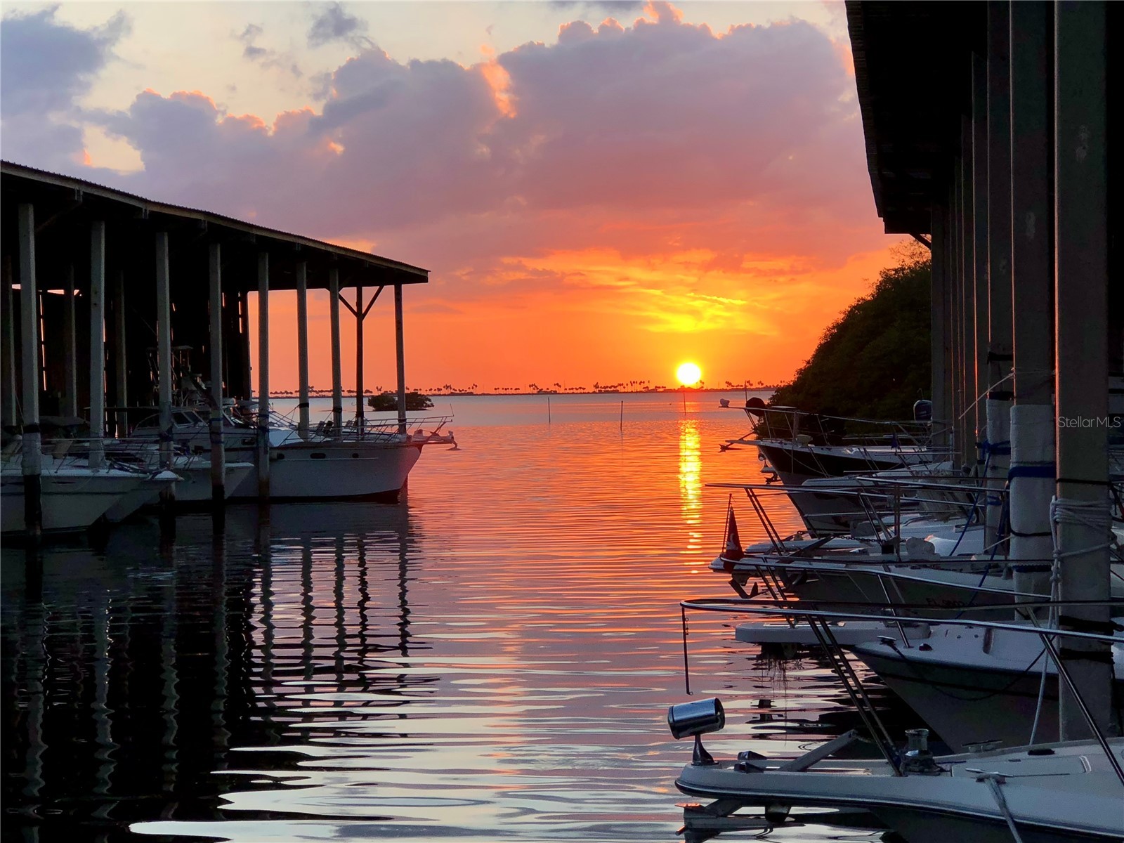 1001 Lennox Road W Palm Harbor FL 34683 TB8493486 image27