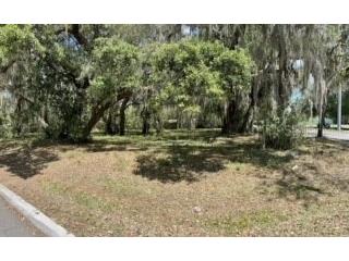 1001 Lincoln Avenue Mount Dora FL 32757 G5067821 image1