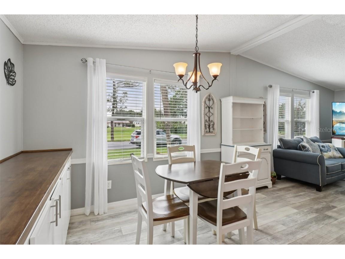 1001 Matthew Avenue The Villages FL 32159 G5104993 image11