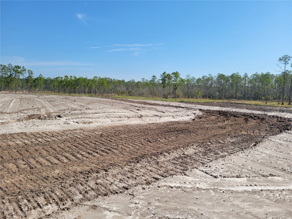 1001 Omega Ranch Road New Smyrna Beach FL 32168 O6274399 image1