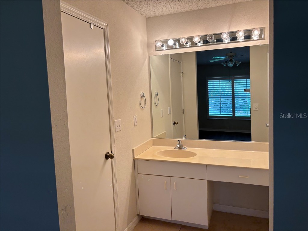 1001 Otter Mill Way #1001 Sun City Center FL 33573 TB8438791 image14