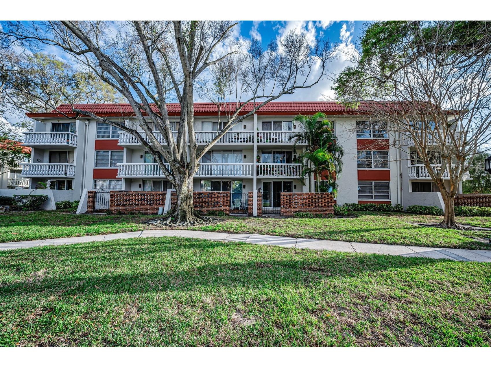 1001 Pearce Drive #205 Clearwater FL 33764 TB8482362 image40