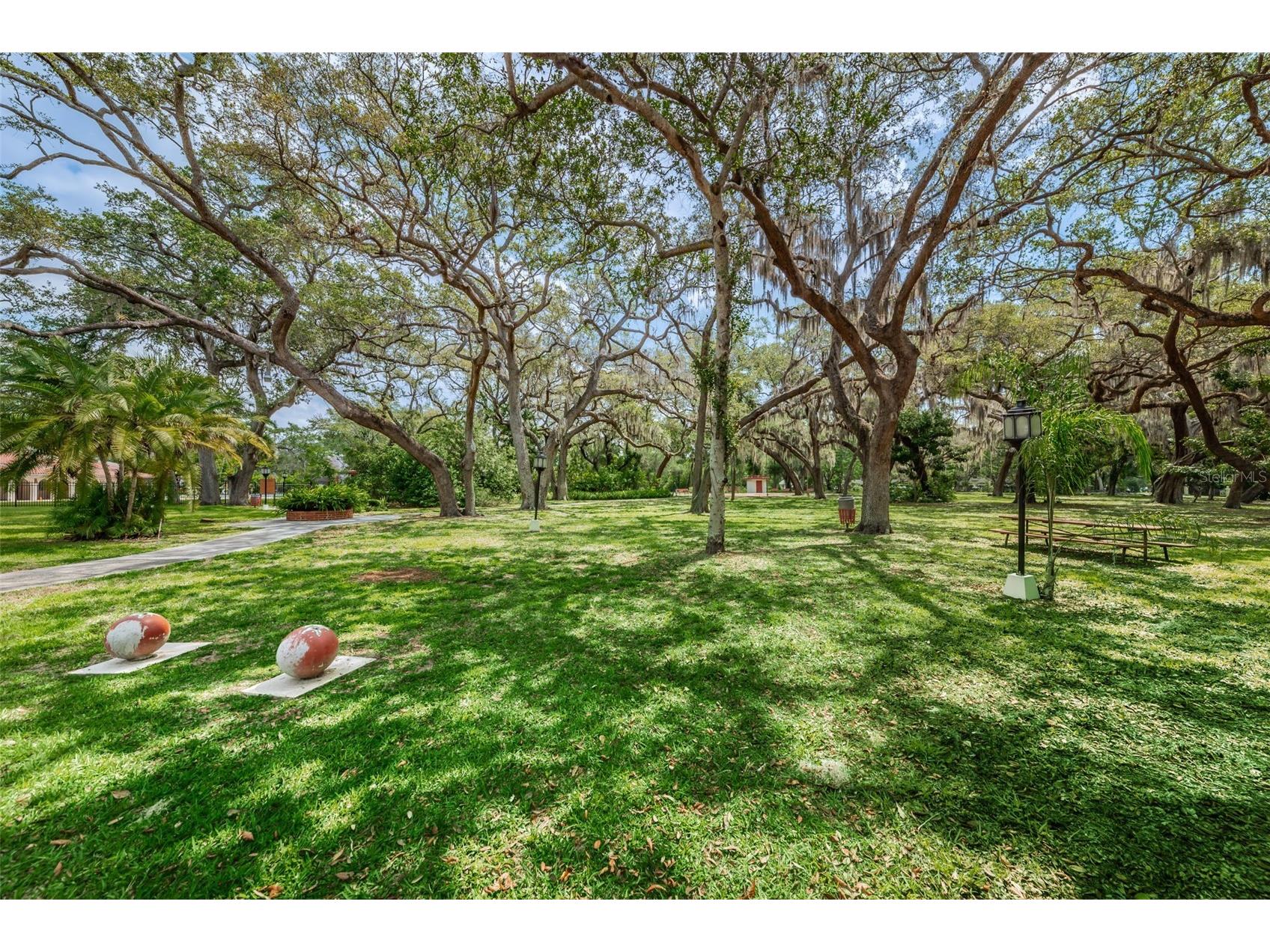 1001 Pearce Drive #205 Clearwater FL 33764 TB8482362 image41