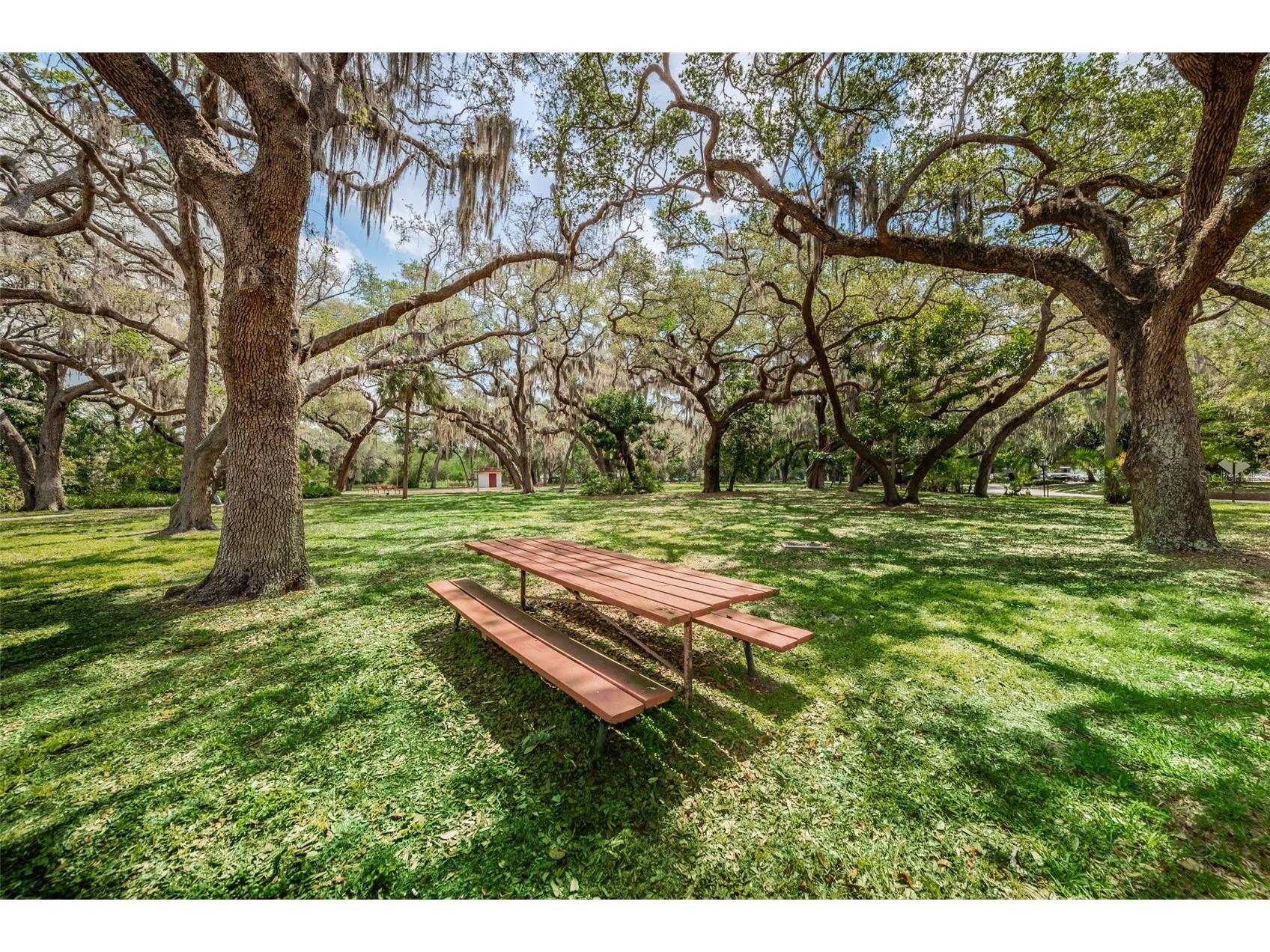 1001 Pearce Drive #205 Clearwater FL 33764 TB8482362 image42