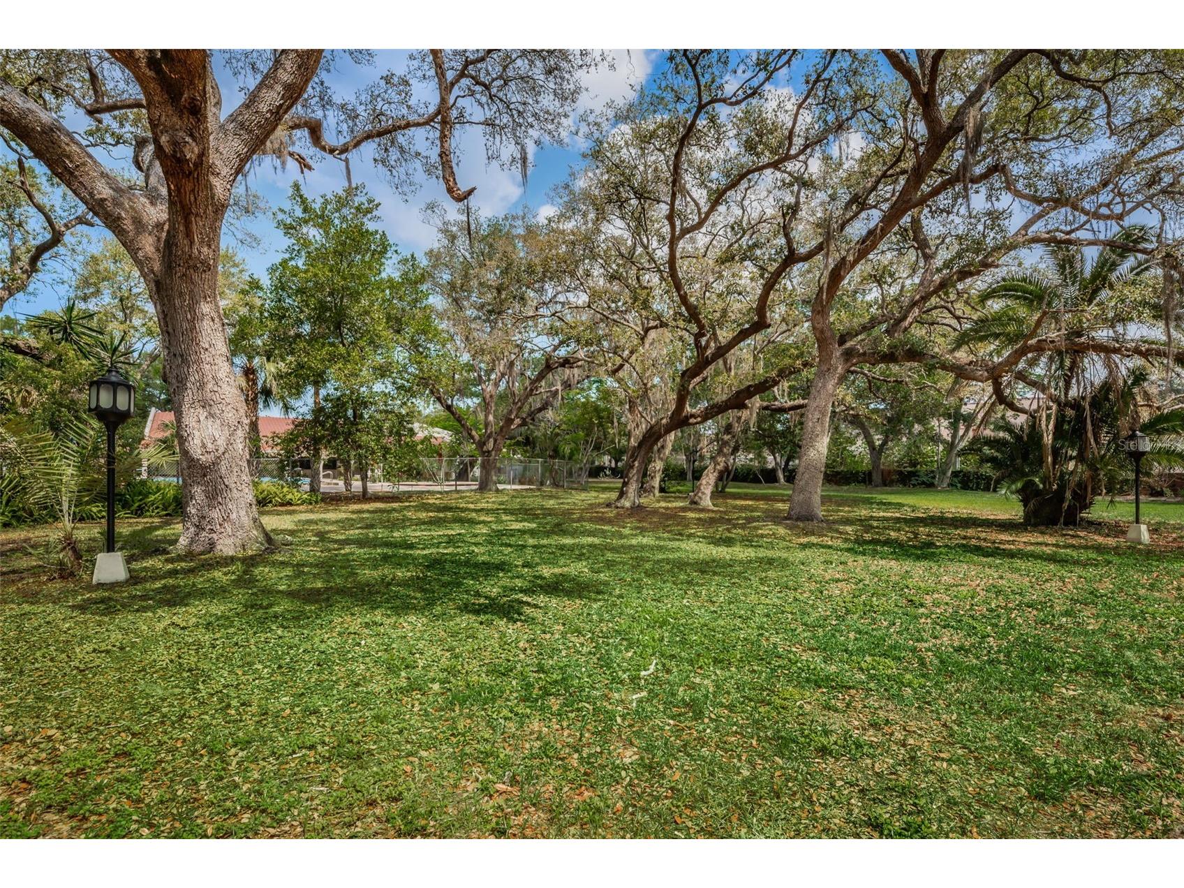 1001 Pearce Drive #205 Clearwater FL 33764 TB8482362 image45