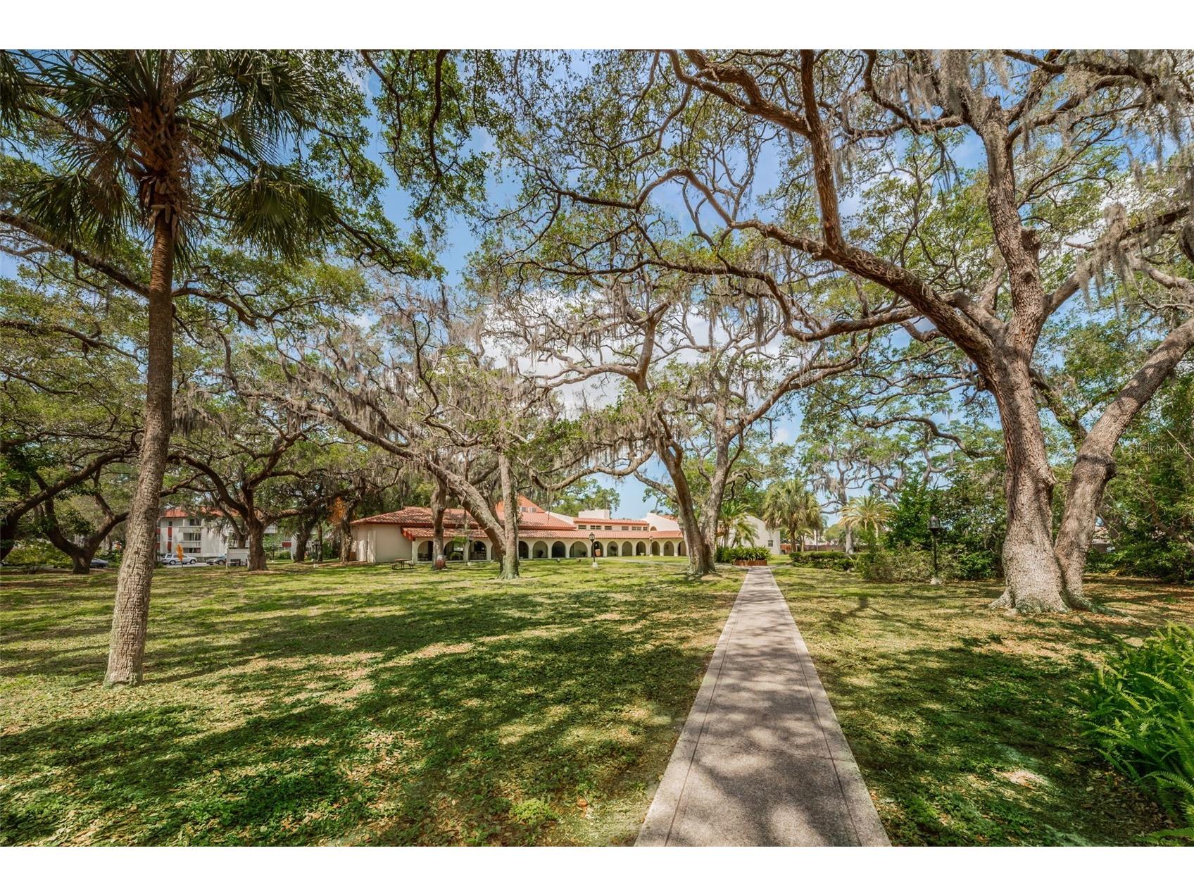 1001 Pearce Drive #205 Clearwater FL 33764 TB8482362 image46