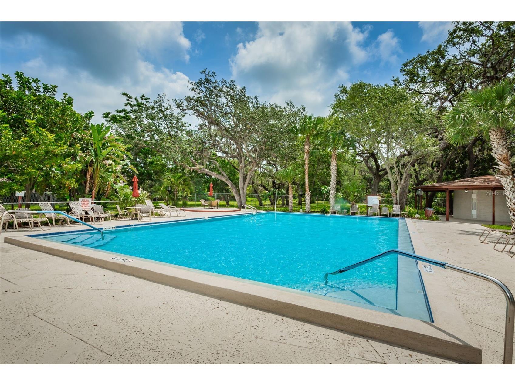 1001 Pearce Drive #205 Clearwater FL 33764 TB8482362 image56