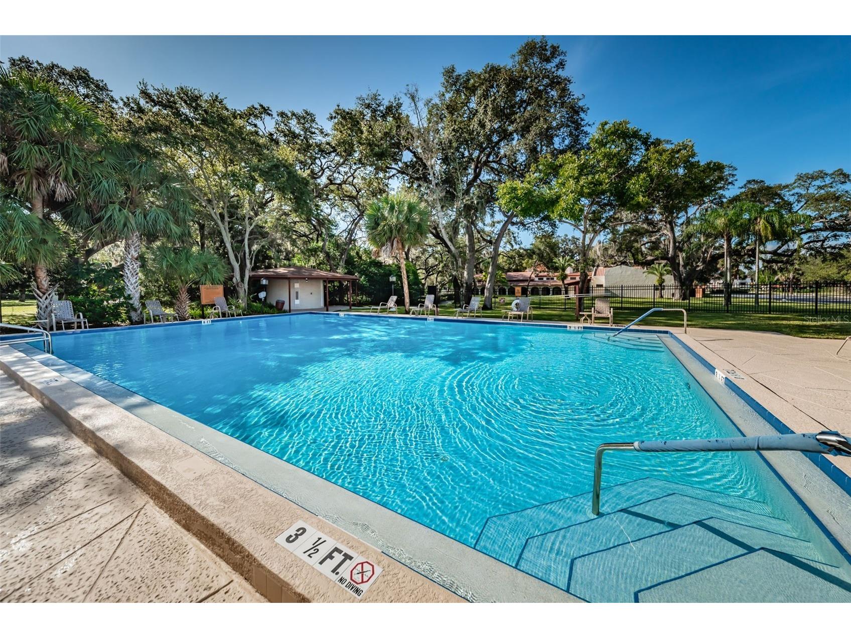 1001 Pearce Drive #205 Clearwater FL 33764 TB8482362 image57