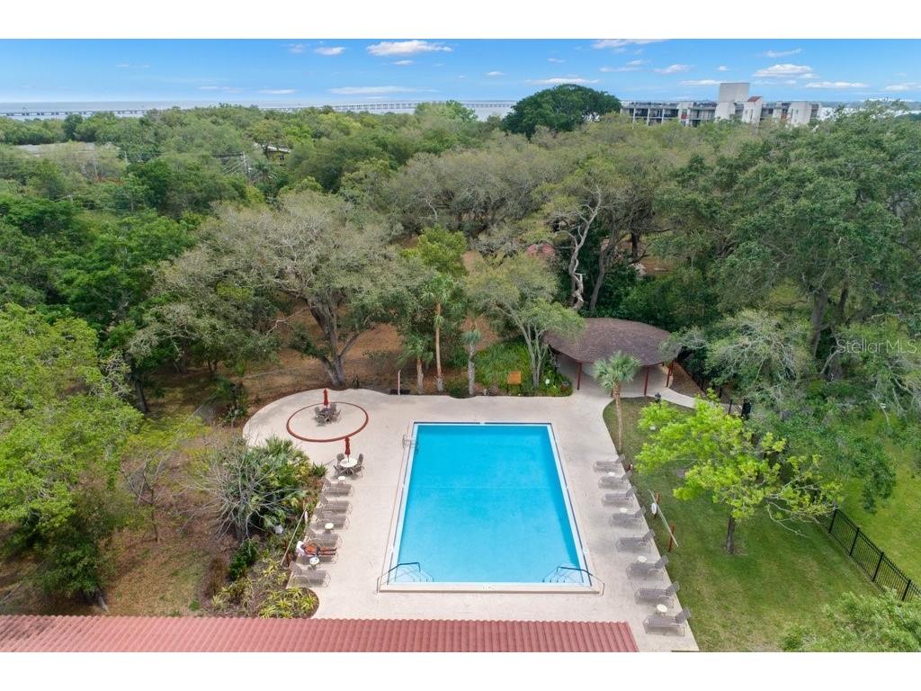 1001 Pearce Drive #302 Clearwater FL 33764 TB8485736 image26