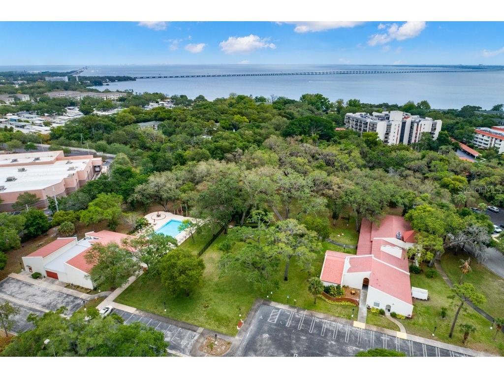 1001 Pearce Drive #302 Clearwater FL 33764 TB8485736 image27