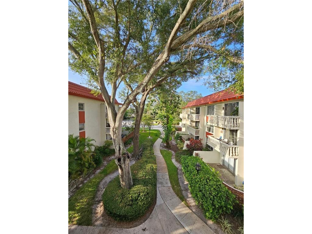 1001 Pearce Drive #306 Clearwater FL 33764 U8215922 image1