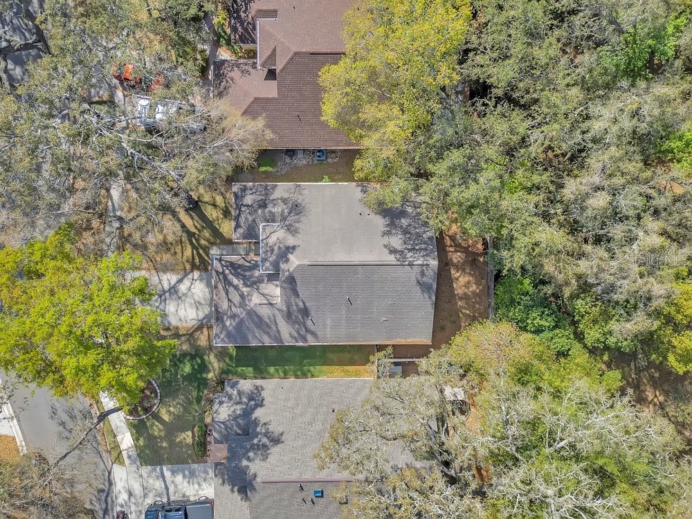 1001 Piedmont Oaks Drive Apopka FL 32703 O6391859 image37