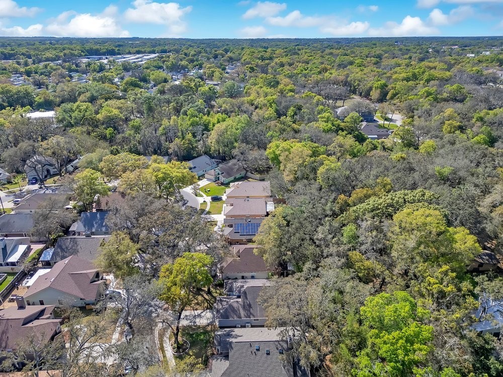 1001 Piedmont Oaks Drive Apopka FL 32703 O6391859 image38