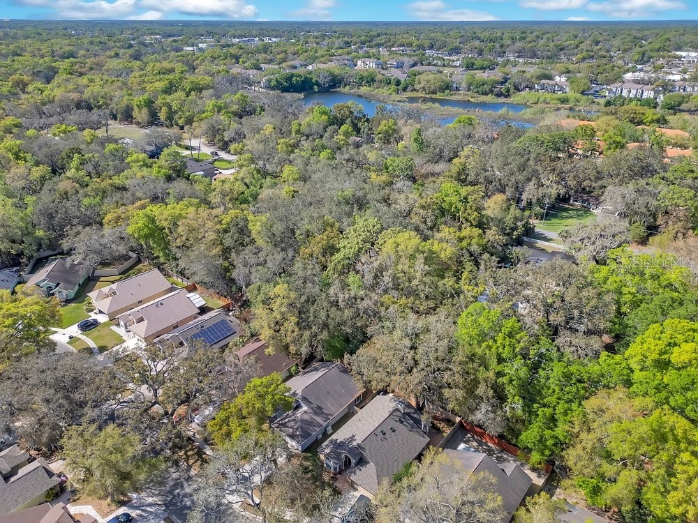 1001 Piedmont Oaks Drive Apopka FL 32703 O6391859 image39